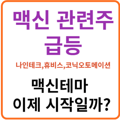 맥신 관련주 급등