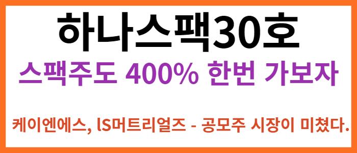 하나스팩30호